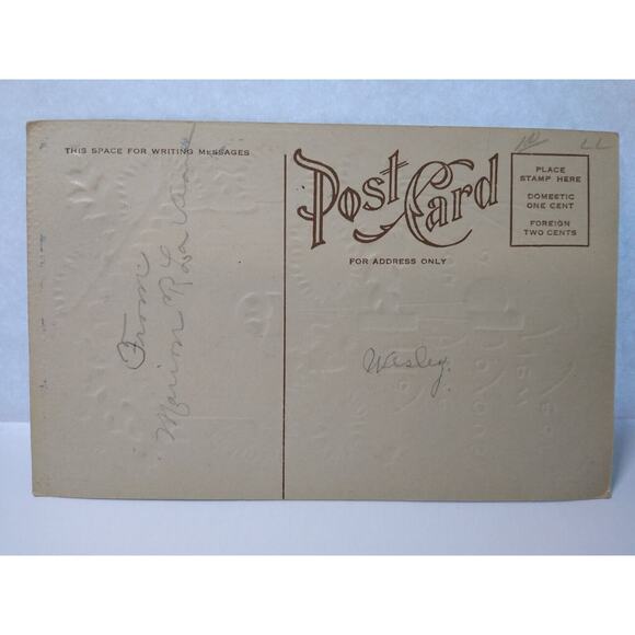 New Years Postcard Bird In Black Forest Cuckoo Clock Vintage Embossed Koo Koo - Picture 2 of 2